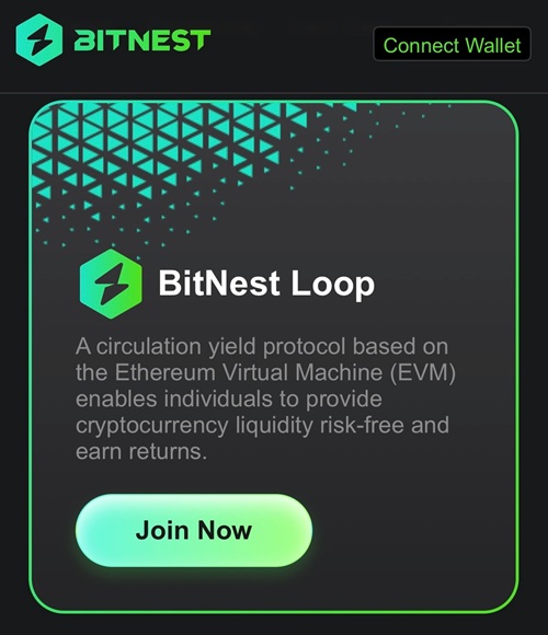 BITNEST
